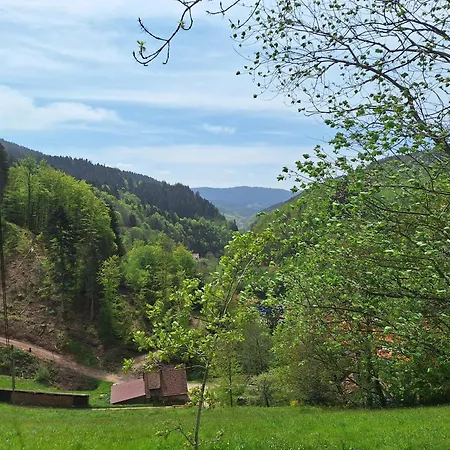 Wildnis- Und Offroad Camp Schwarzwald Hotel Bad Peterstal-Griesbach Exterior photo