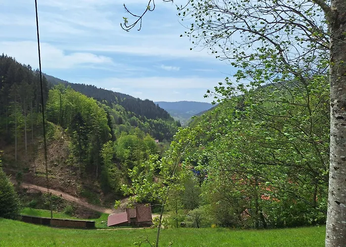 Wildnis- Und Offroad Camp Schwarzwald