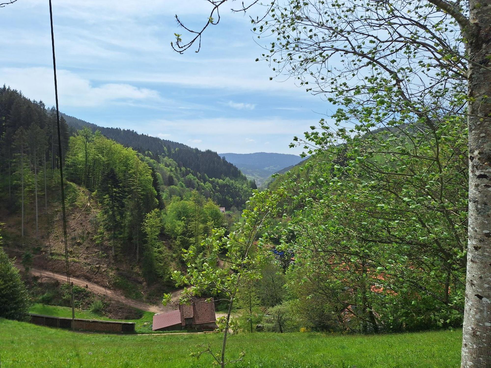 Wildnis- Und Offroad Camp Schwarzwald
